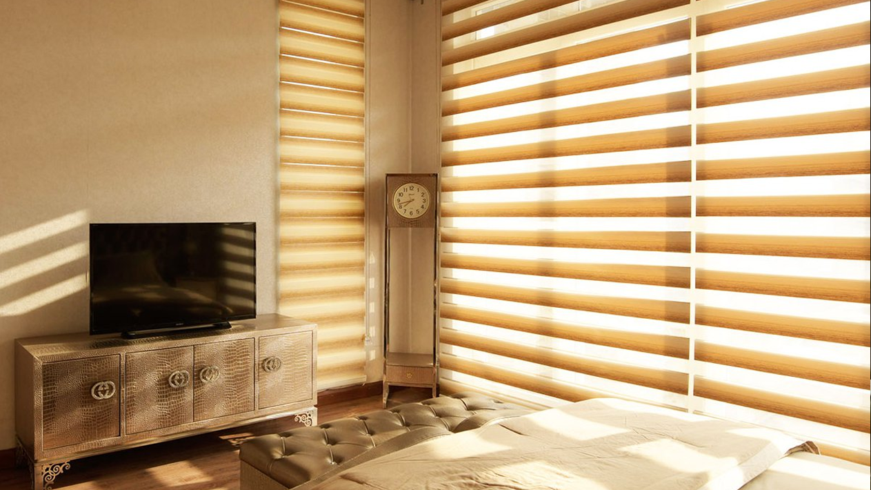 Motorized Window Blinds